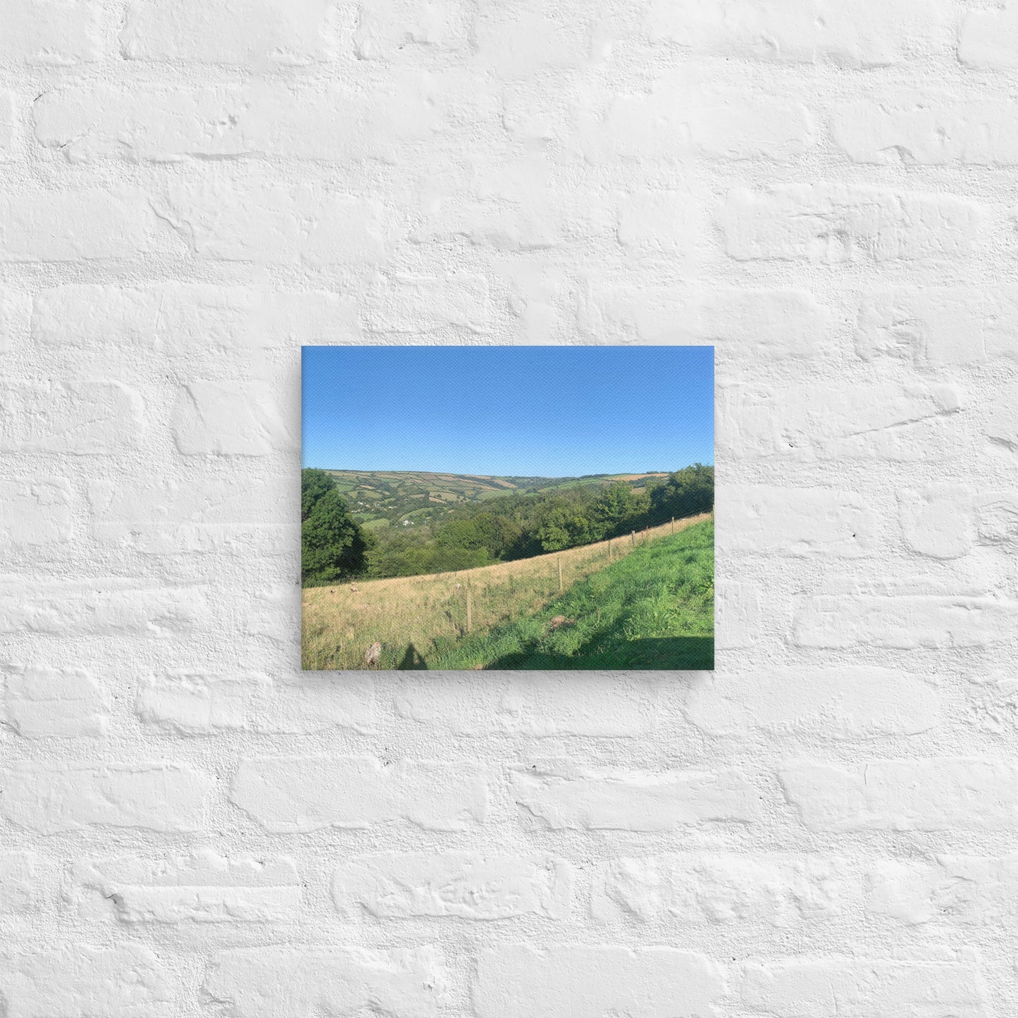 Coombe Martin view on canvas