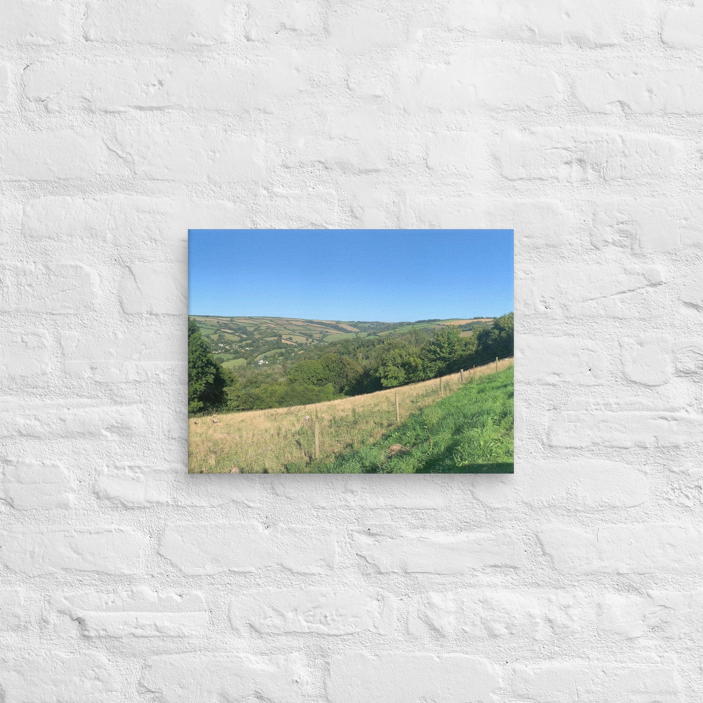 Coombe Martin view on canvas