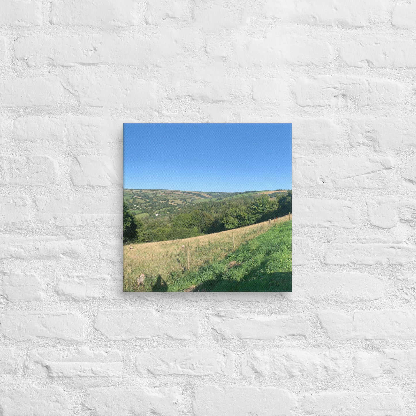Coombe Martin view on canvas