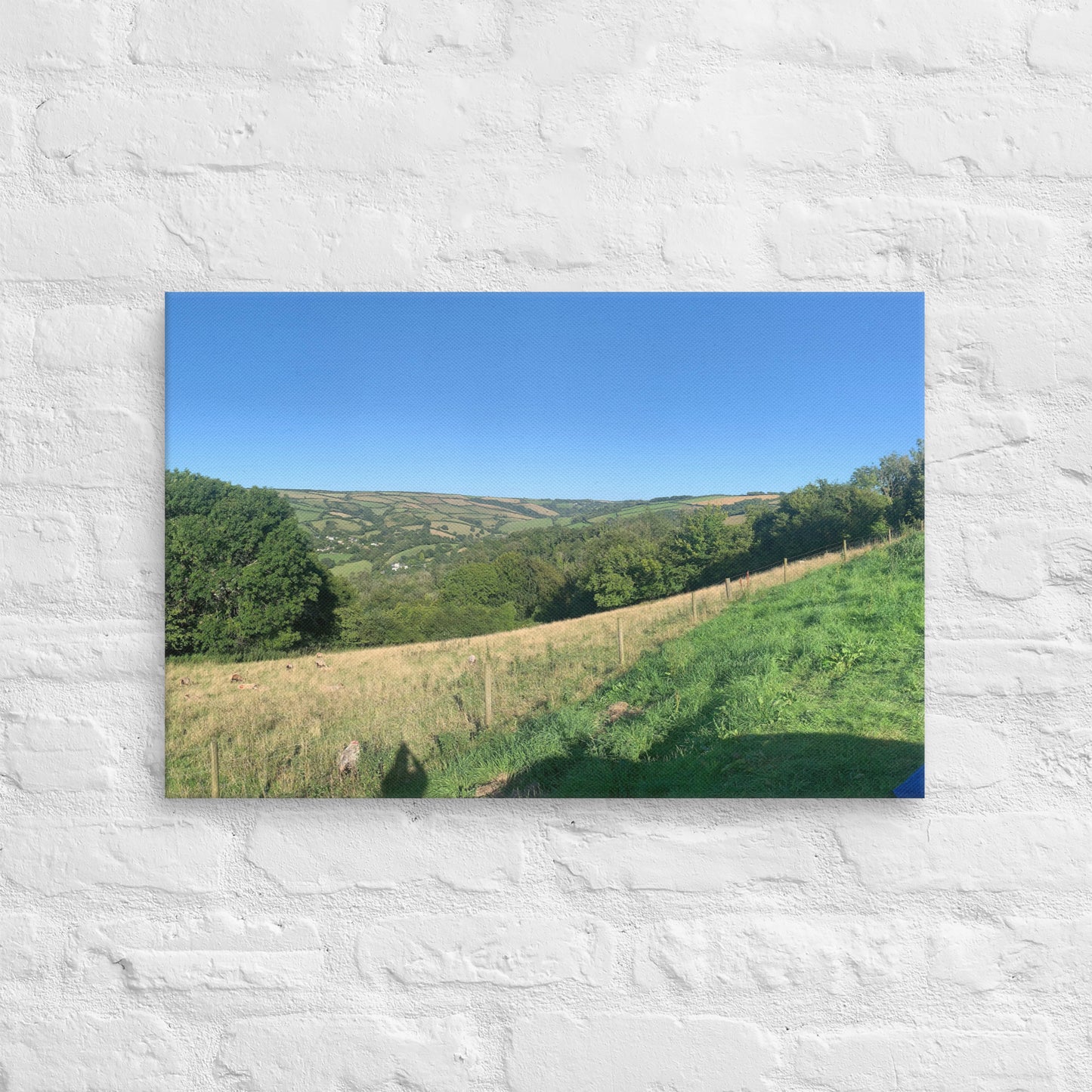 Coombe Martin view on canvas