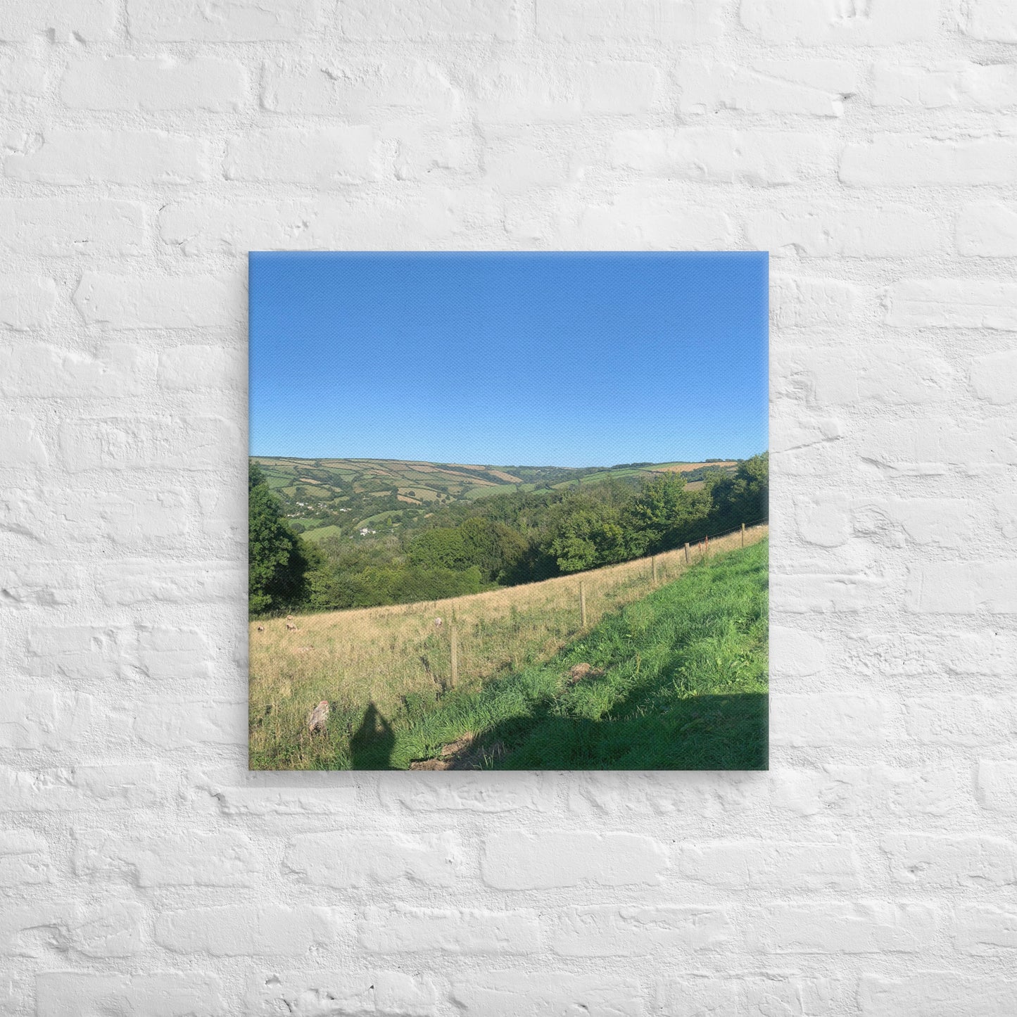 Coombe Martin view on canvas