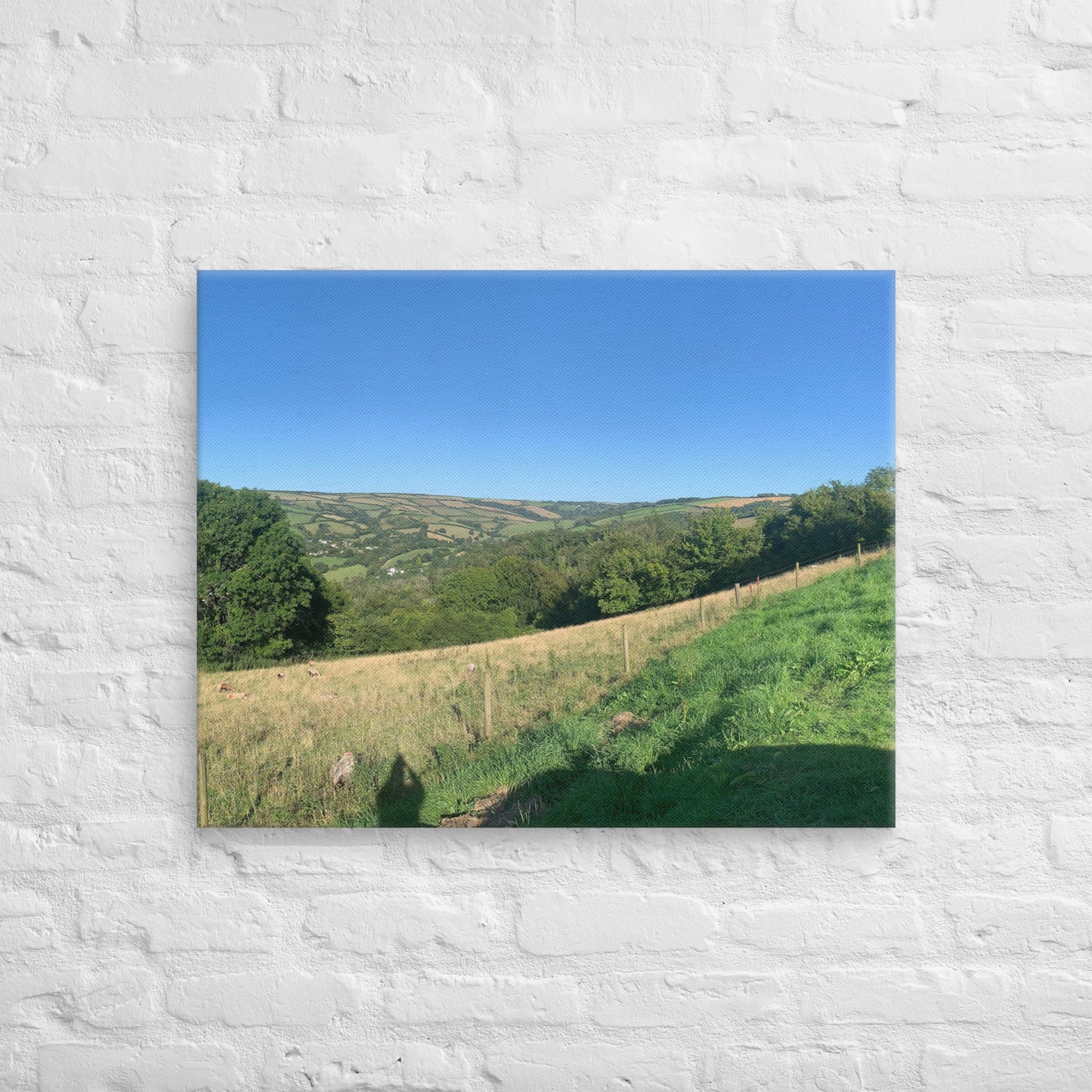 Coombe Martin view on canvas
