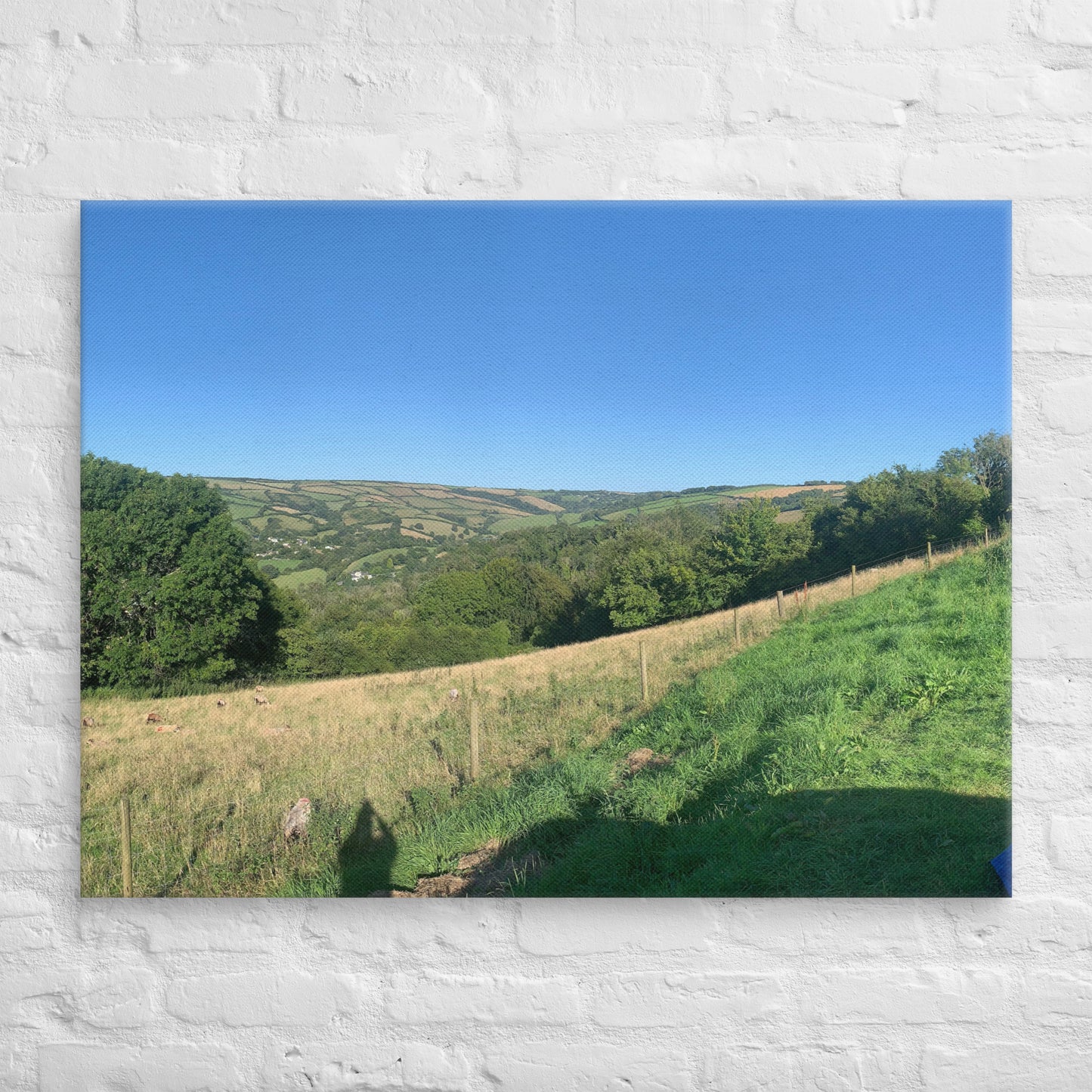 Coombe Martin view on canvas