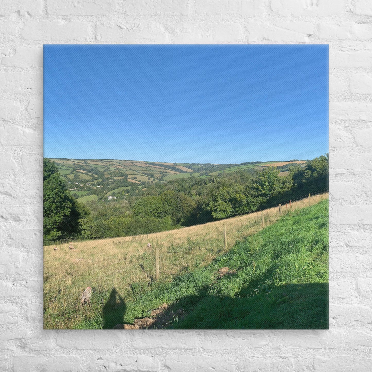 Coombe Martin view on canvas