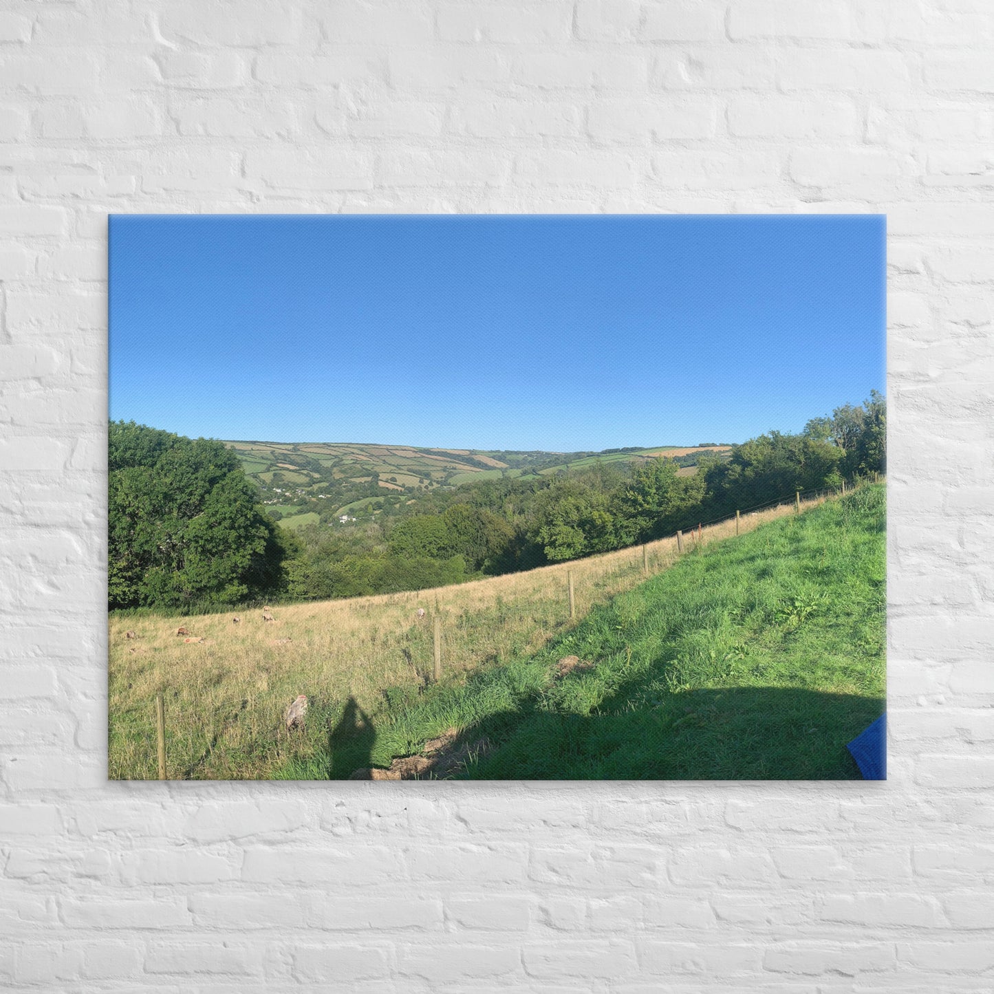Coombe Martin view on canvas