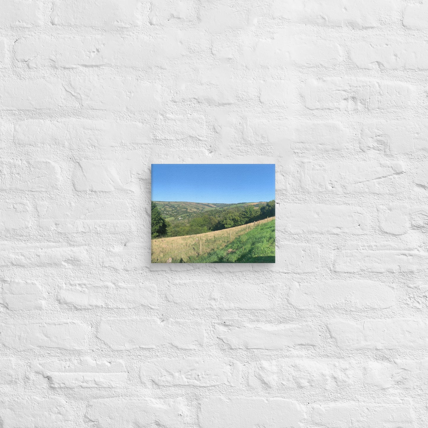 Coombe Martin view on canvas