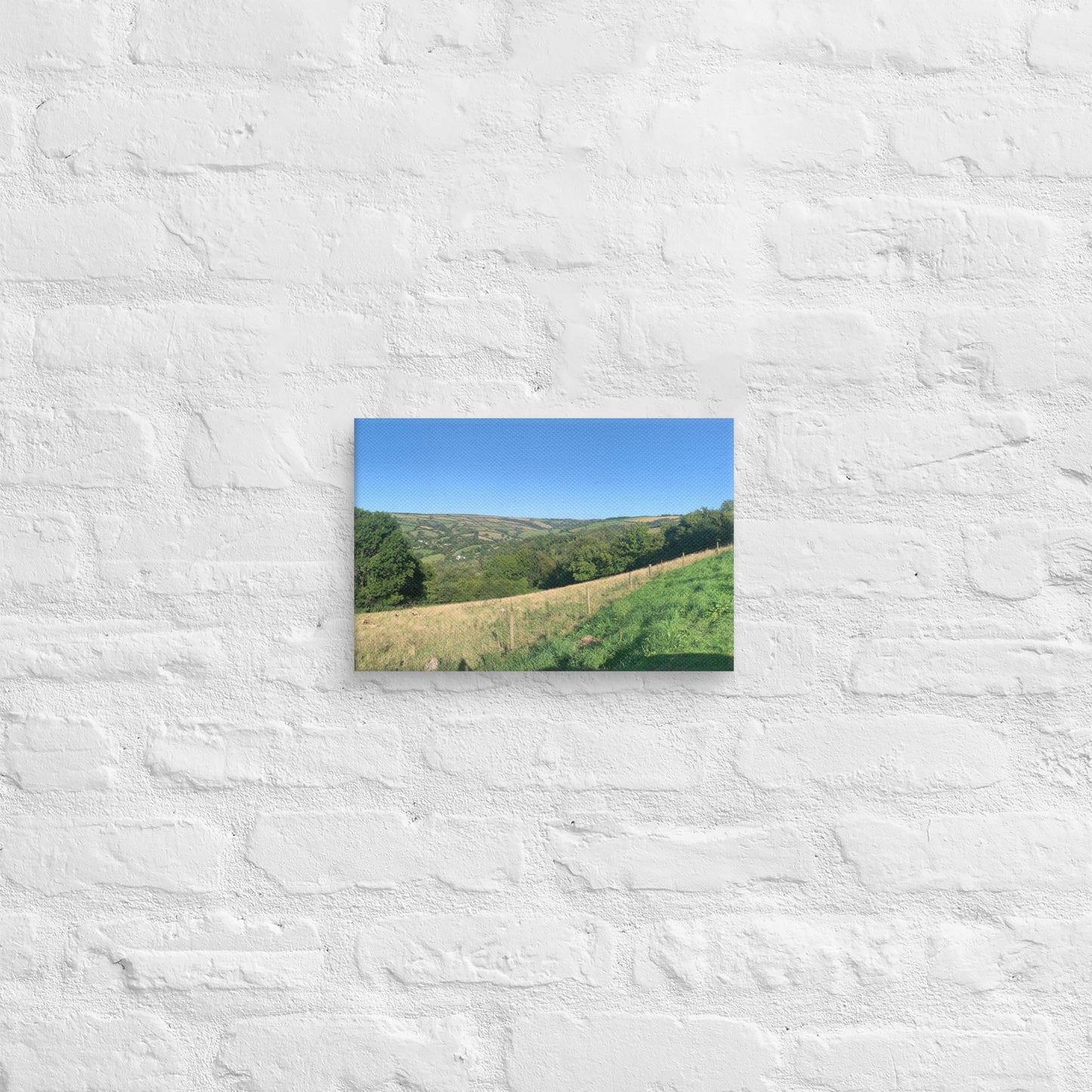 Coombe Martin view on canvas