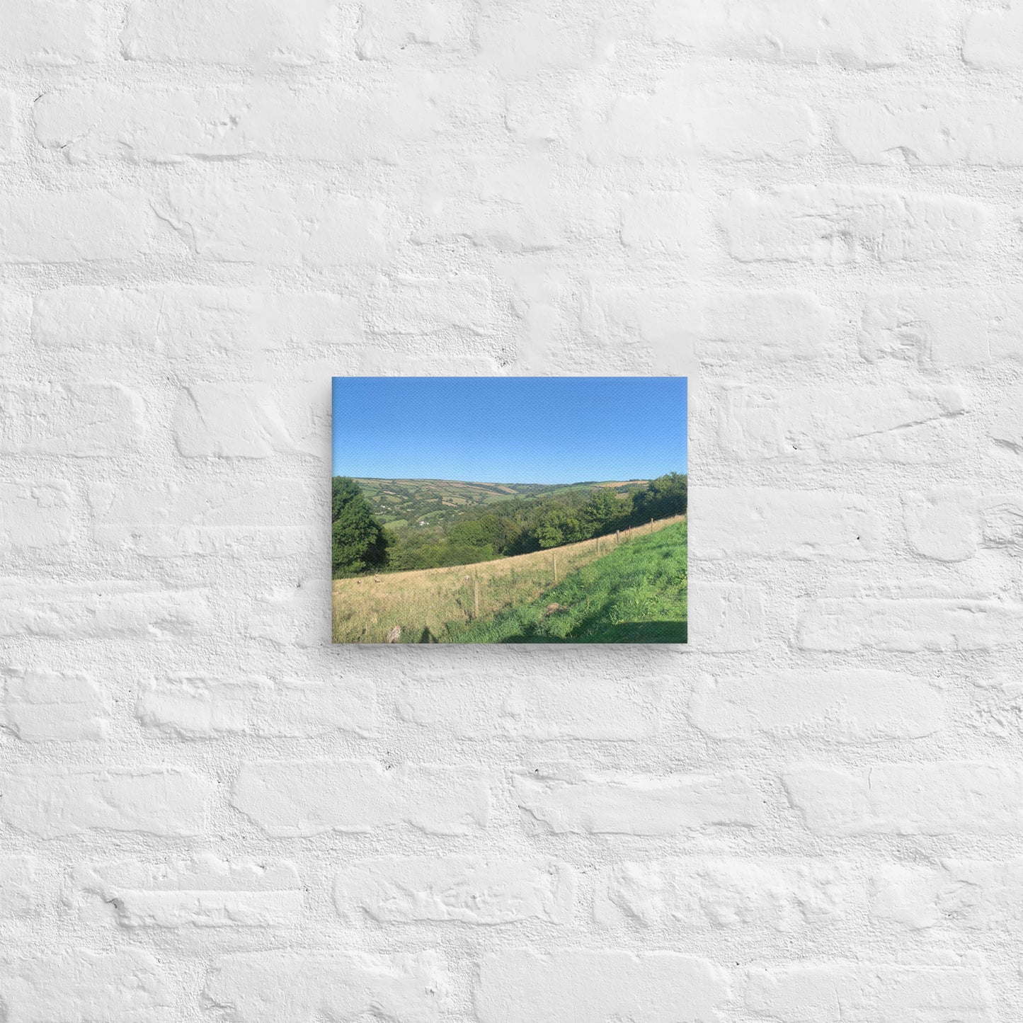 Coombe Martin view on canvas